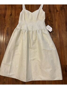 Adrianna Papell Cream and Gold Embroidered Textured Party Dress